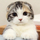 xunjx's avatar